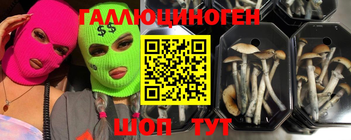 купить закладку  Псилоцибиновые грибы мухоморы  Галлюциногенные грибы MAGIC MUSHROOMS  Вход с VPN  Мелеуз 